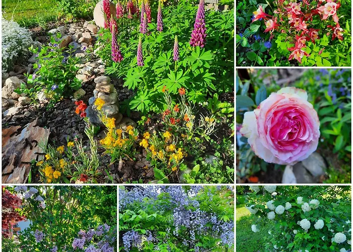 Le jardin de Moun